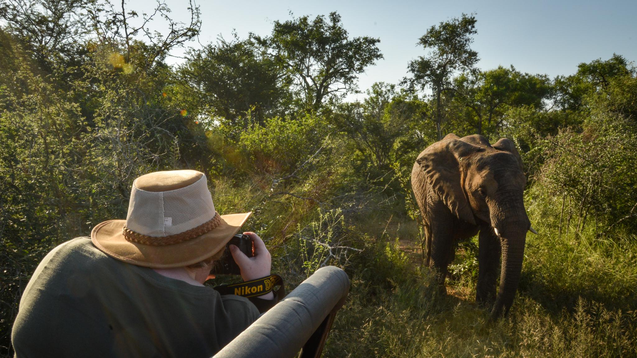 Lion Sands Tinga Lodge Skukuza Buitenkant foto